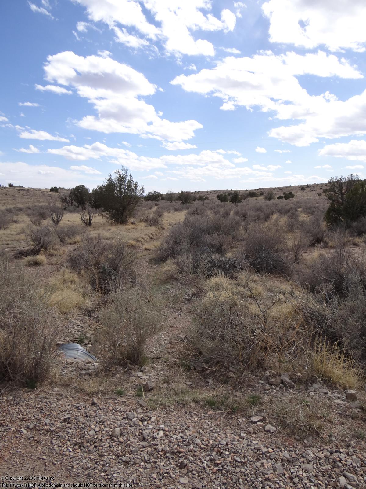 50 Acres land for sale in Carrizozo, NM by Ruidoso about 2.5 hours SE